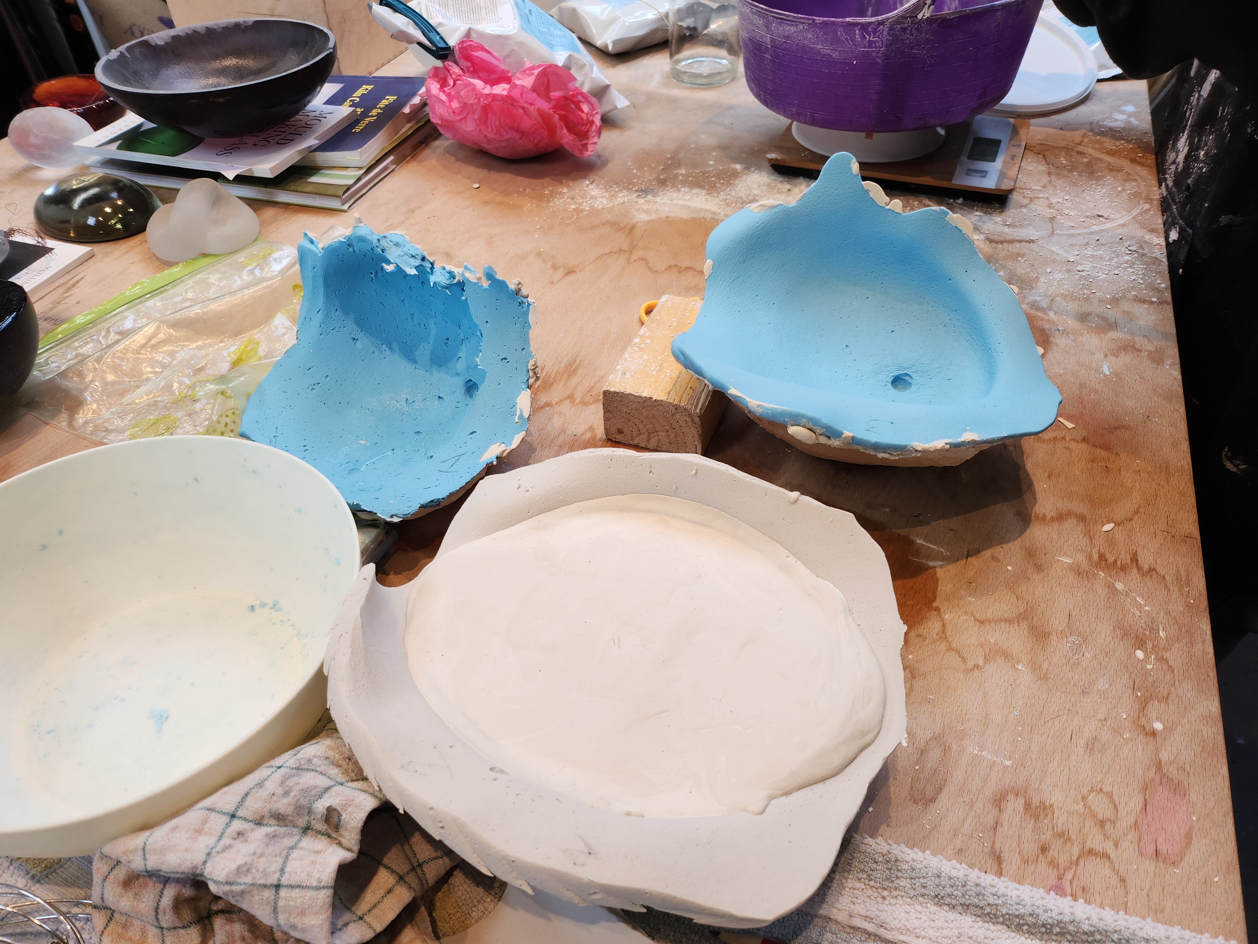 Moulds